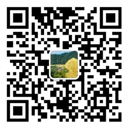 助赢软件